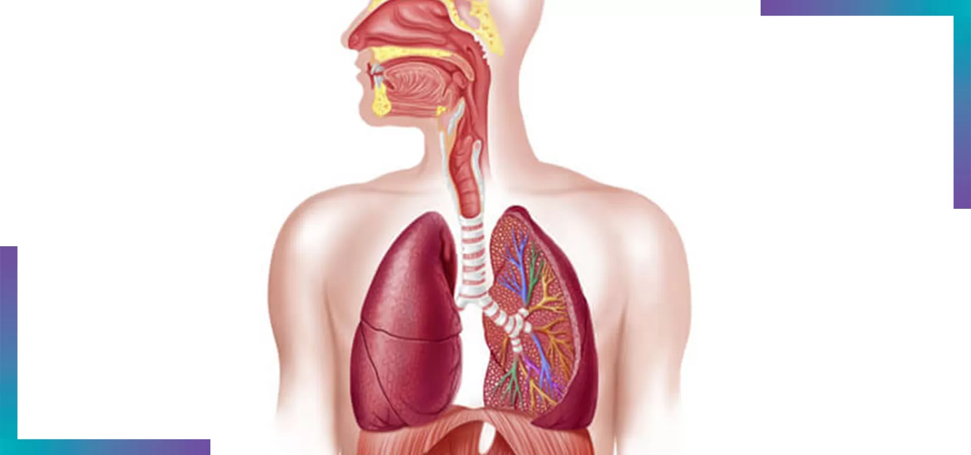 how bad is cigarette smoking 9 Health Effects of Smoking You Should Know About how bad is cigarette smoking 9 Health Effects of Smoking You Should Know About
